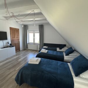 Apartament typu studio z prywatną łazienką